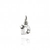CHARM GIOVANNI RASPINI LETTERA  D CON STELLE 06650