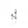 CHARM GIOVANNI RASPINI LETTERA  H CON STELLE 06654