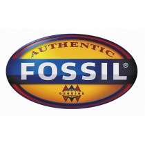 FOSSIL